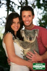 Cuddle koalas