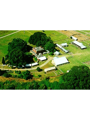 Tocal Homestead