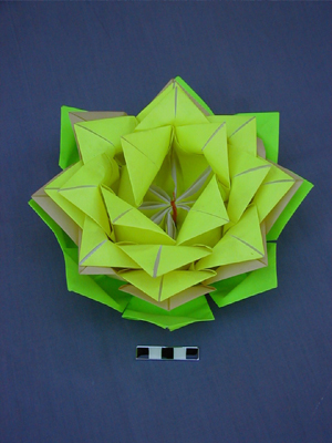 Votive paper lotus flower