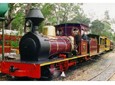 Illawarra Light Railway Museum Society Ltd
