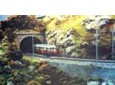 Alpenrail Swiss Model Vollage &amp; Railway