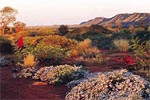 Alice Springs Desert Park