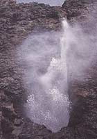 The Kiama blow-hole can throw a plume of spray up to 60 metres into the air.