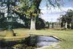 Castlemaine Botanical Gardens were established in 1860.