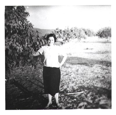 Maria Alexakis in the family olive grove, Greece, mid 1950's