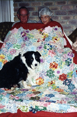 Bill & Barbara Meynink, Campbell the border collie