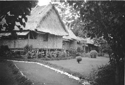 Norma Griffin's house at Saidor PNG
