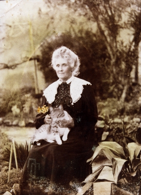 Agnes Chitty with Gilbert the cat, c.1910