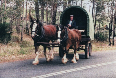 Rosie on the right, Banjo left, half way through an 180 km trek.