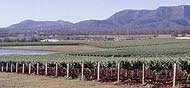 The Hunter Valley is famous for its wine, its history and spectacular scenery.