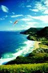 Hang gliding over the Illawarra coastline.